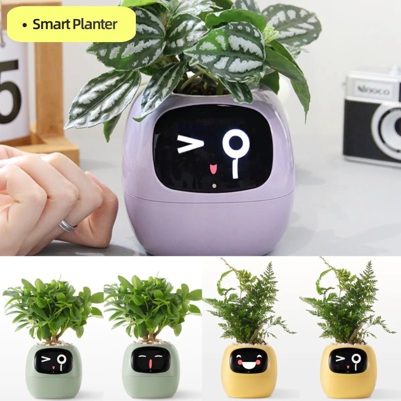 Smart Planter Endless Fun Over 49 Rich Expressions 7 Smart Sensors And AI Chips Make Raising Plants Easy And Fun - Divine Matsya